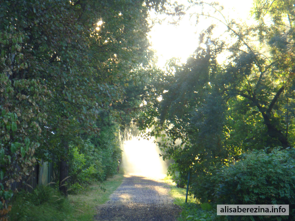 Солнечная улица. Утро 6:27 3.09.2022 Sunlit Sreet. Morning