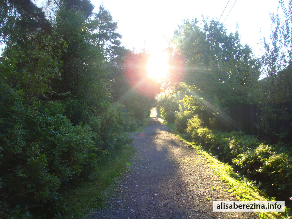 Солнечная улица. Утро 6:38 4.09.2022 Sunlit Sreet. Morning