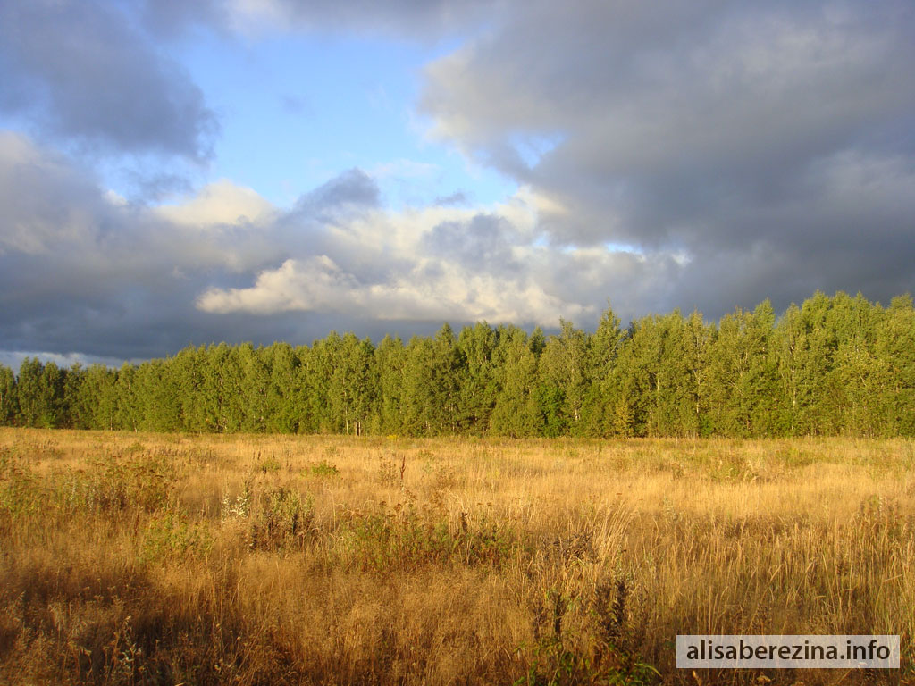 Солнечное поле. Утро 6:19 1.09.2022 Sunlit Field. Morning