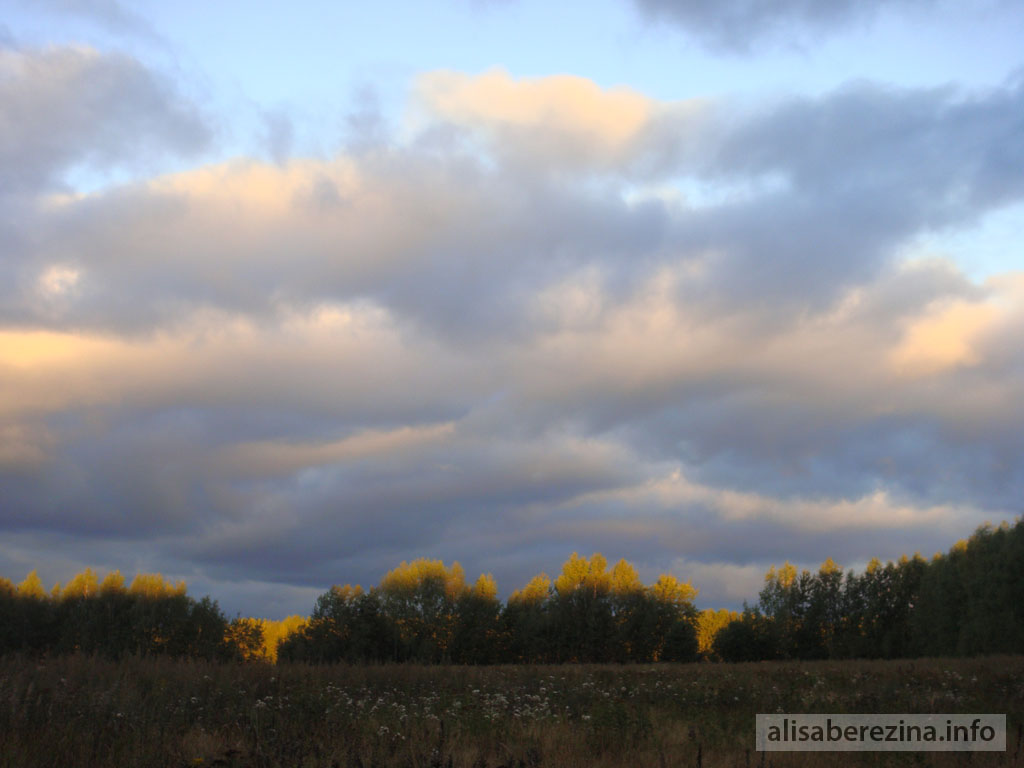 Солнечные деревья. Восход солнца 5:48 1.09.2022 Sunlit Trees. Sunrise