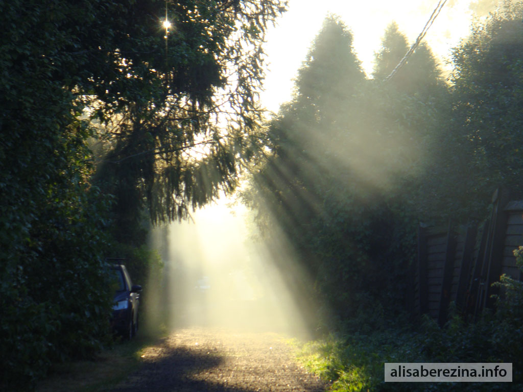 Солнечный свет. Утро 6:27 3.09.2022 Sunlight. Morning