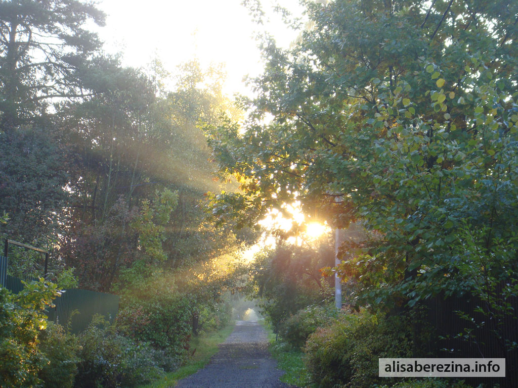 Солнечные лучи 17.09.2022 Sunbeams