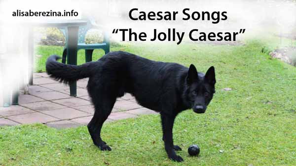 Logo Caesar Songs The Jolly Caesar