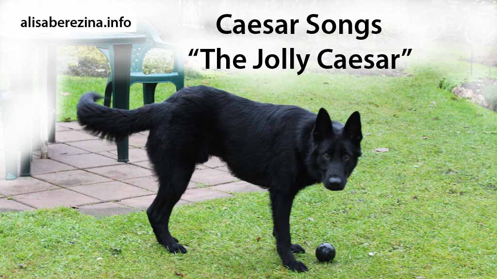 Cover Caesar Songs “The Jolly Caesar”