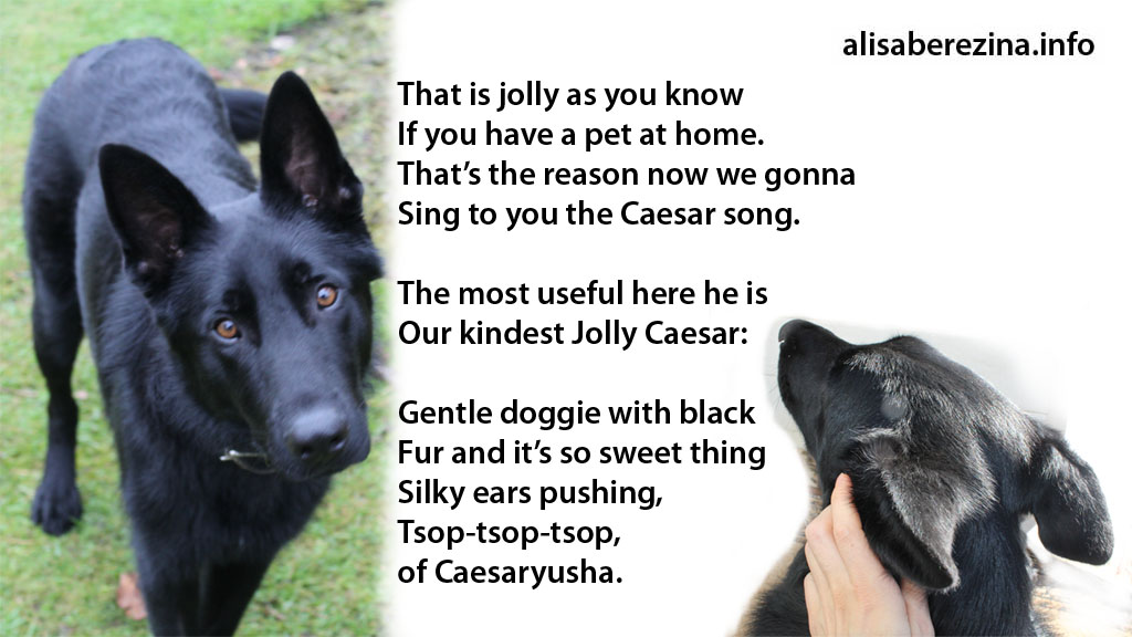 Verse 1. Getting to know the dog Caesar