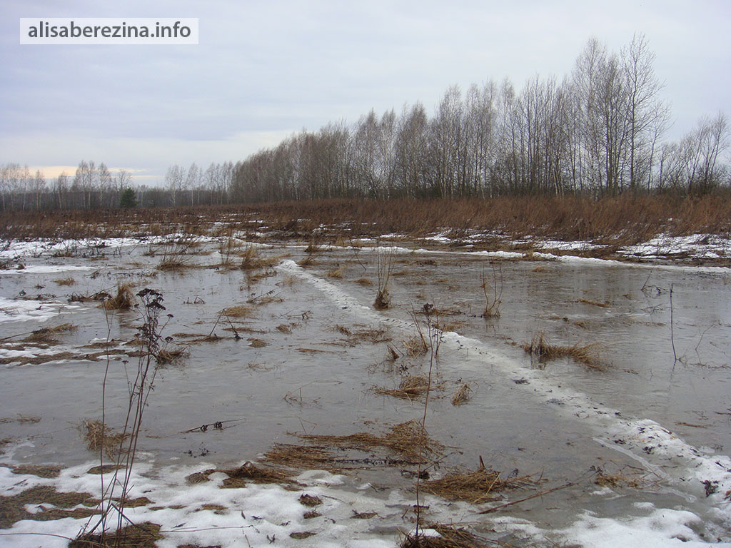 Скоро на тропе ней можно будет купаться. 25.03.2023 Soon it will be possible to bath on the path.