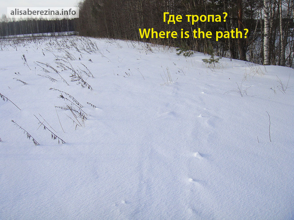 Где тропа? Она полностью заметена снегом. Where is the path? It is completely covered with snow.