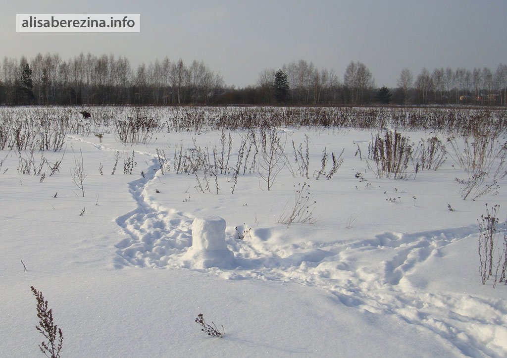 Дрессировочный стул: снежный стул посреди поля. Training chair: a snow chair in the middle of the field.