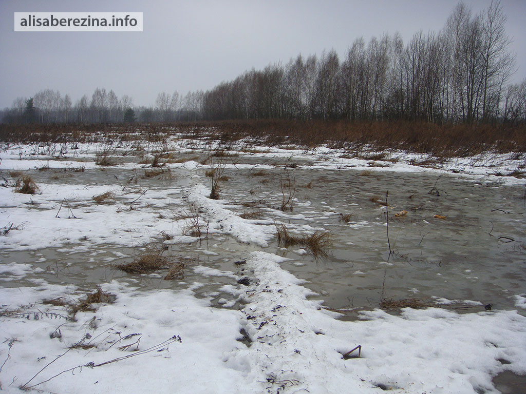 В низинках Цезариную тропу начинает затапливать. 24.03.2023 In the lowlands, the Caesar's Path begins to flood.