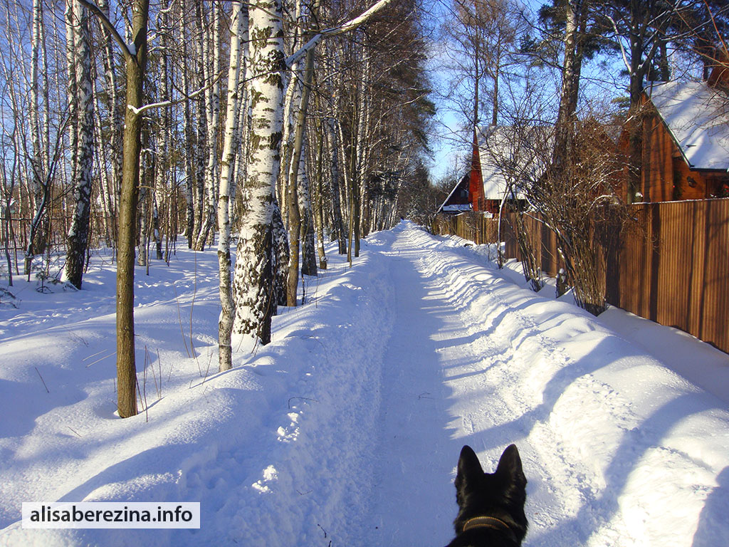 Наша снежная улица 12.02.2023 Our Snowy Street