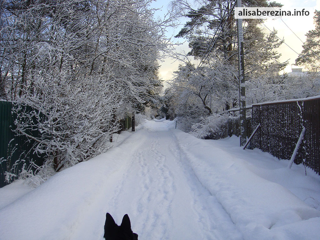 Наша снежная улица 14.02.2023 Our Snowy Street