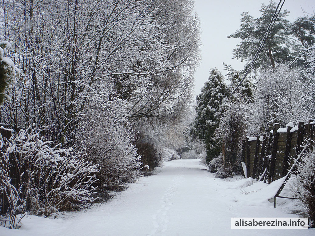 Наша снежная улица. За ночь выпал снег. Утро 7:39 1.04.2023 Our Snowy Street. Snow fell overnight. Morning