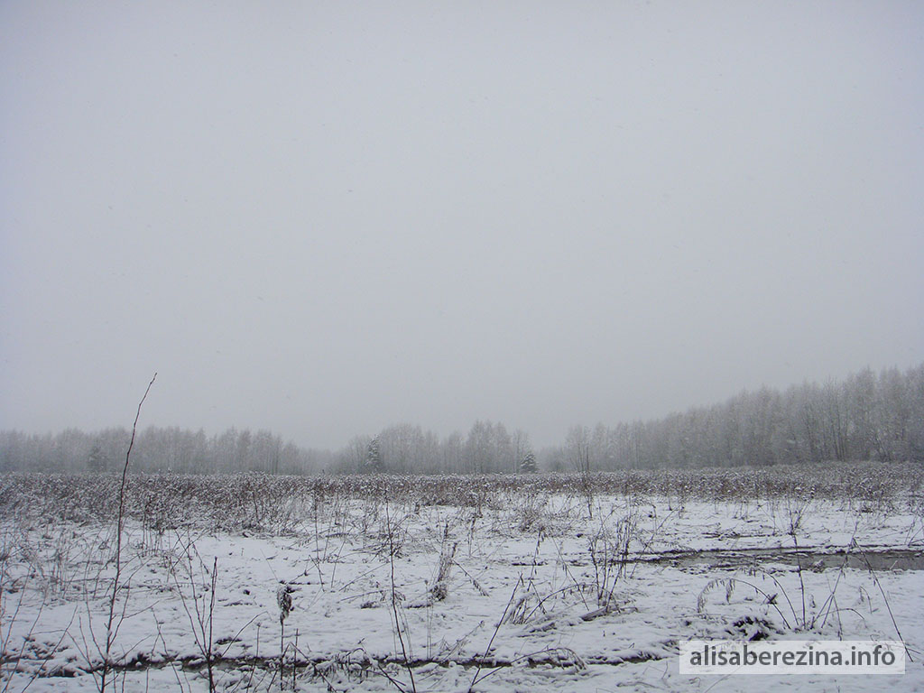 Наше заснеженное поле 7:55 1.04.2023 Our Snow-covered Field