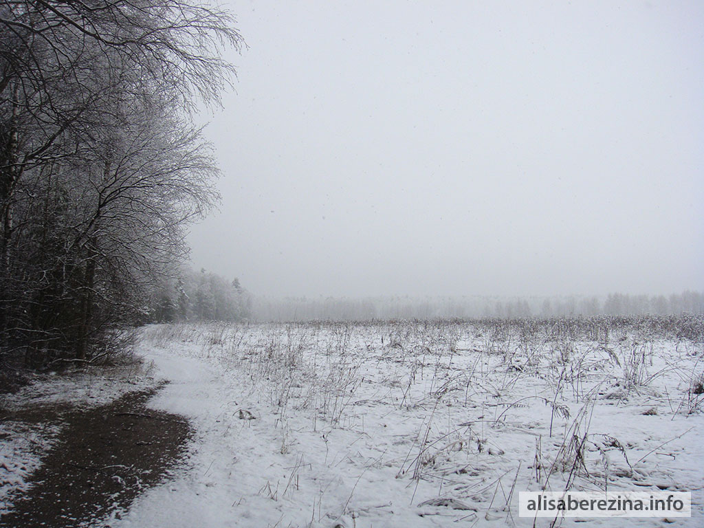 Наше снежное поле 7:55 1.04.2023 Our Snowy Field