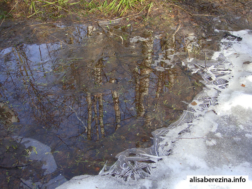 Весенние узоры Spring patterns
Узор изо льда на луже. Pattern of ice on a puddle.
