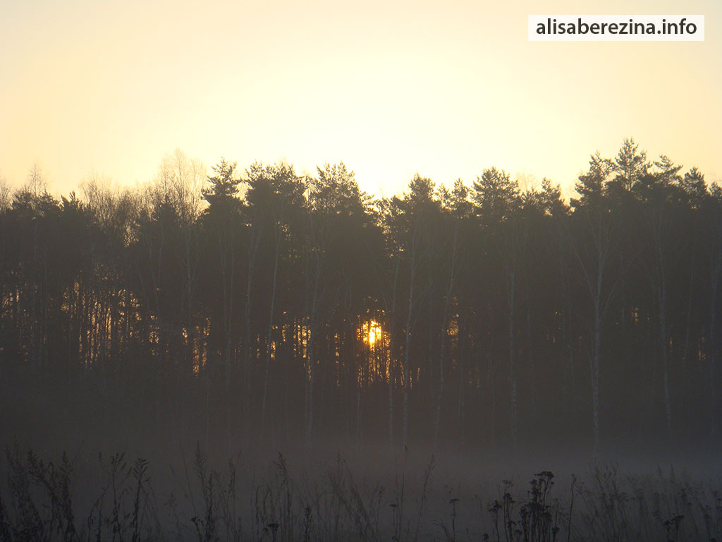 Восход 6:07 5.04.2023 Sunrise. Солнце за лесом. The sun is behind the forest.