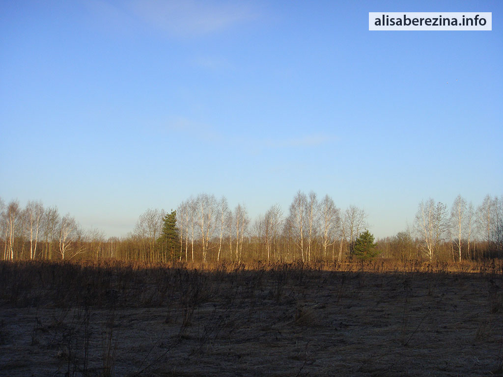 Восход 6:20 8.04.2023 Sunrise. Солнце осветило половину поля. The sun lit up half of the field.