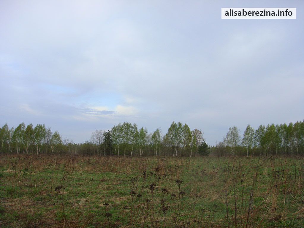 Солнце спряталось за тучу 6:25 28.04.2023 The sun hid behind a cloud