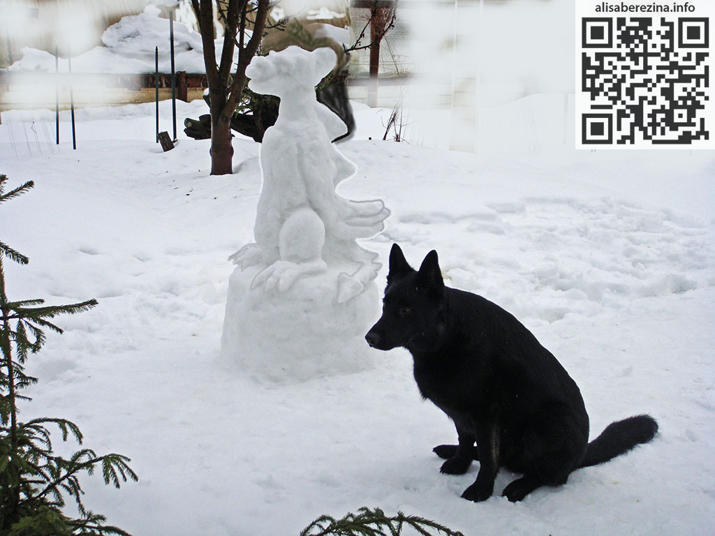 Снежный дракон и собака Цезарь, как дракон, только чёрный. The snow dragon, and the dog Caesar is like a dragon, only black.