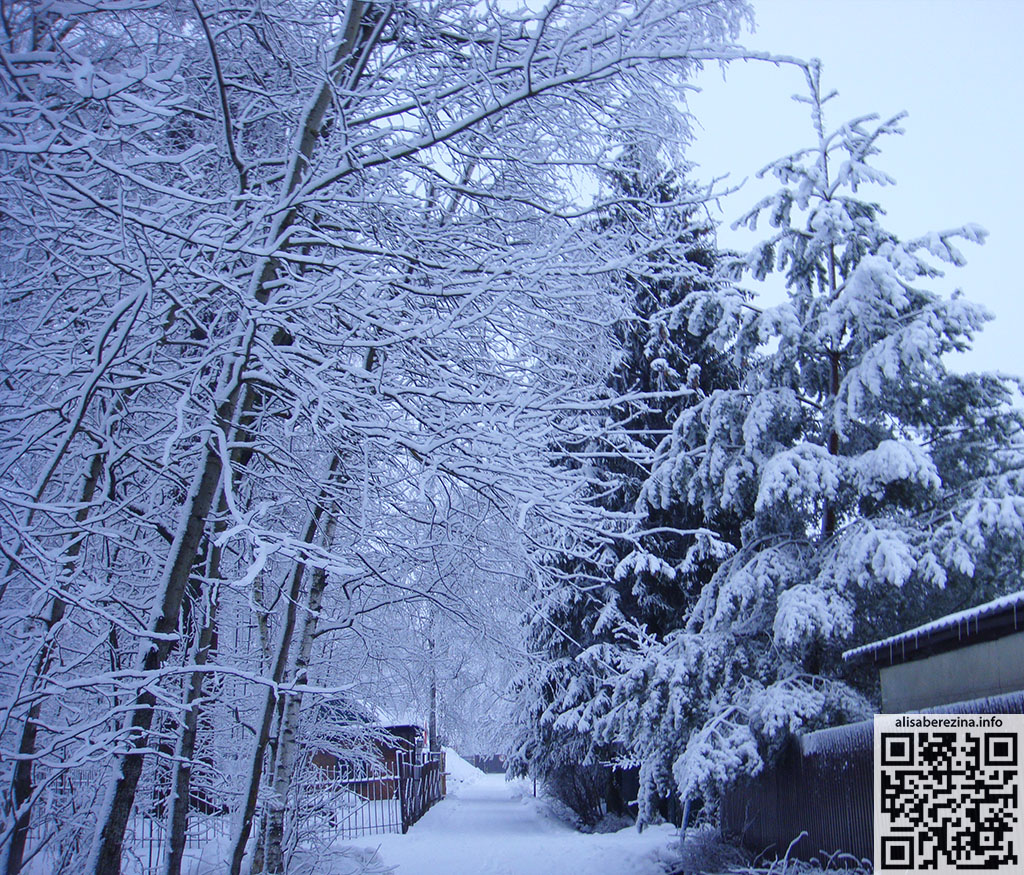 Наша снежная дорога / Our snowy road