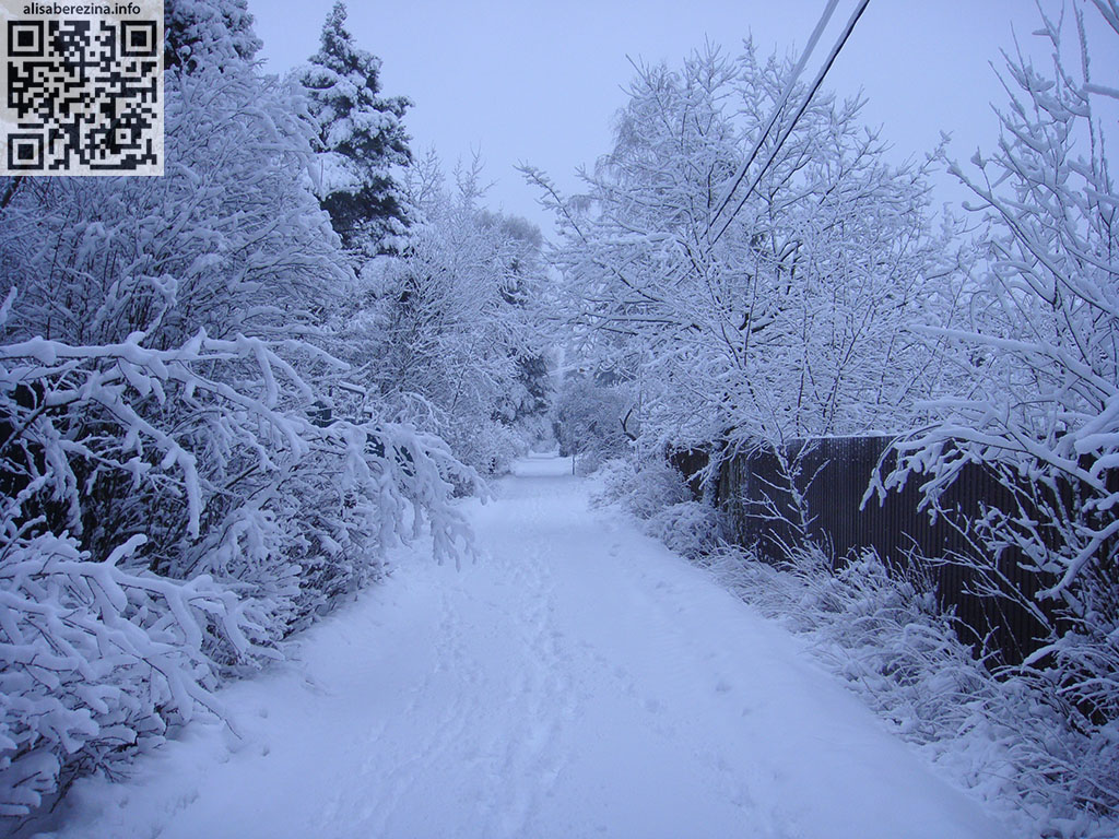 Наша утренняя снежная улица / Our morning snowy street