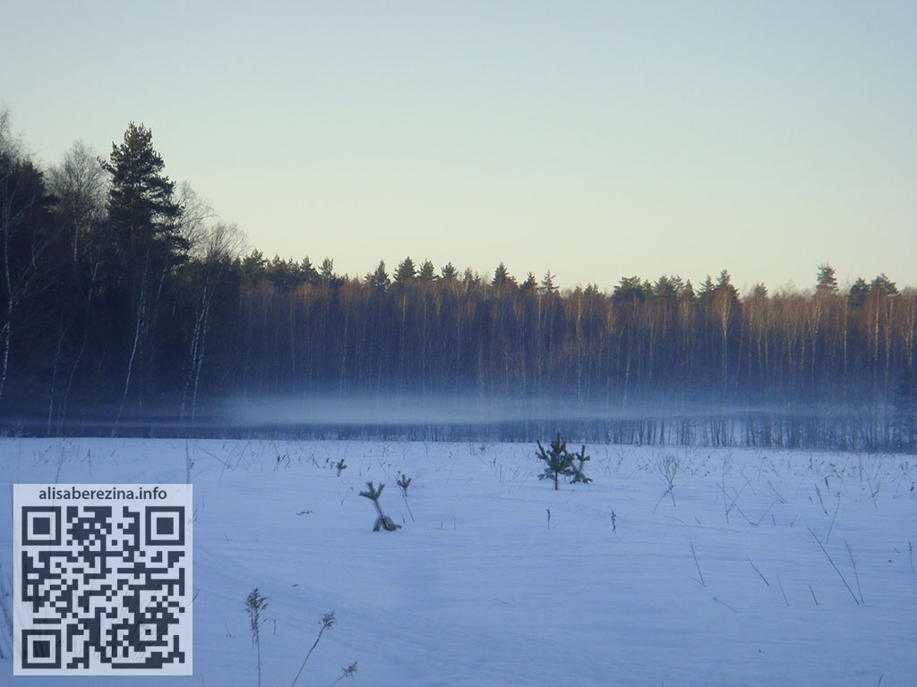 Туманное морозное утро 7:49 03.03.2024 Foggy Frosty Morning