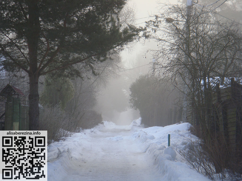 Наша зимняя туманная улица 6:49 20.03.2024 Our Winter Foggy Street