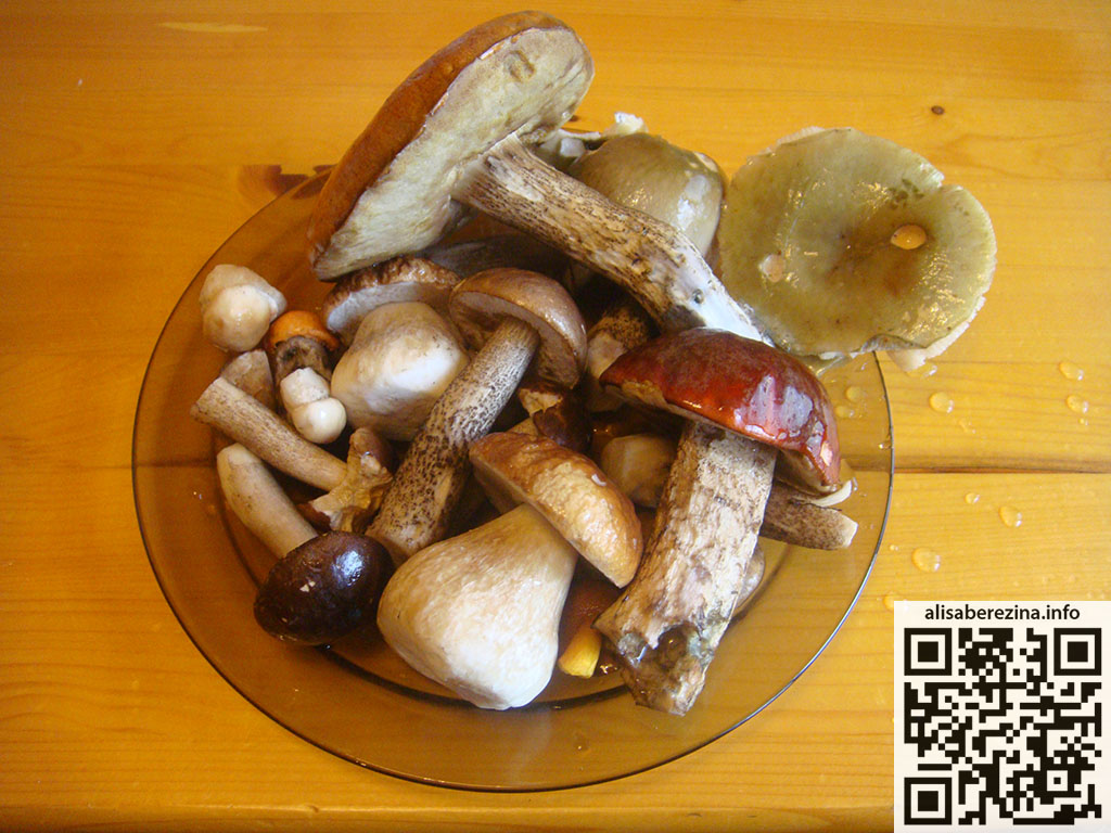 Четыре белых гриба, три подосиновика 23.06.2025 Four porcini mushrooms, three aspen mushrooms